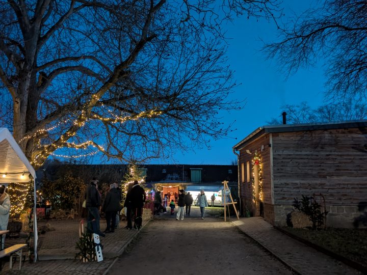 _main Wintermarkt Ökostation 2025