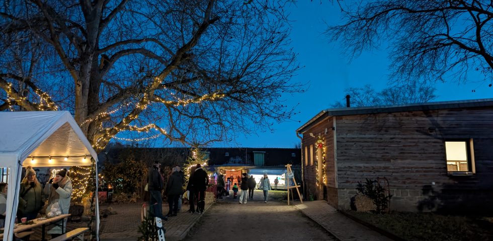 _main Wintermarkt Ökostation 2025