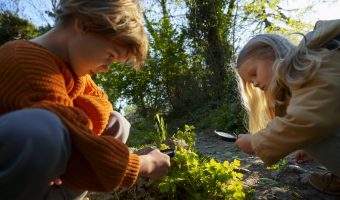 side-view-kids-exploring-nature-together