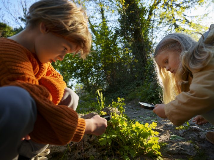 side-view-kids-exploring-nature-together